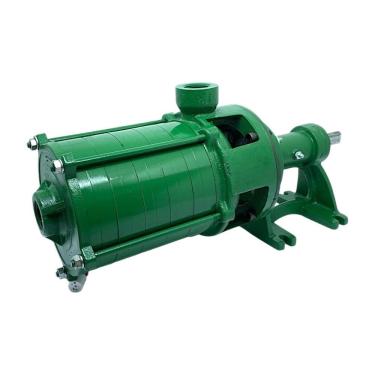 Imagem de Bomba Centrífuga 6 Estágios 1" Mancalizada Irrigação 4500l/h 110mca
