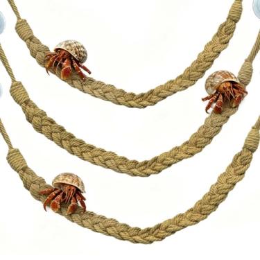 Imagem de kathson Brinquedos de escalada de caranguejo eremita, escada de corda de escalada de caranguejo eremita com ventosa de 10 ganchos, acessórios de terrário para lagartos, cobras, lagartixas (3 peças