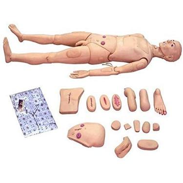 Imagem de Modelo esqueleto 170 cm tamanho real cuidado do paciente manequim treino RCP simulação básico multifuncional treino enfermagem modelo manequim para estudantes educação ensino Habii