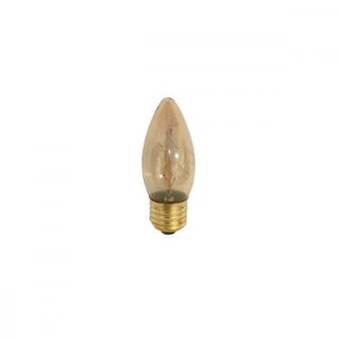 Imagem de Lampada Filamento Carbono Galaxy C53 2400K 40Wx127V 5024, 110V