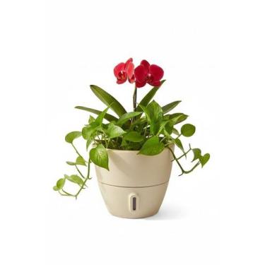 Imagem de Vaso de Planta Inteligente Autoirrigável Cone P Areia - Brota