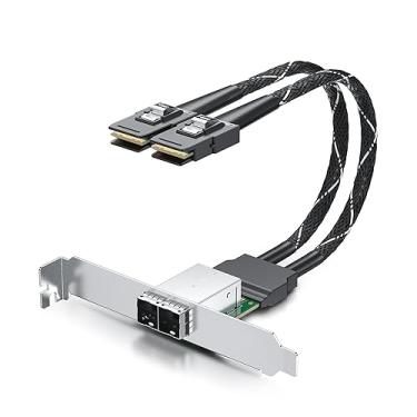 Imagem de 10Gtek MiniSAS Cabo extensor de canal duplo SFF-8087 para SFF-8644 para expansão de servidor/data center/armazenamento, 30AWG, apenas suporte de perfil baixo incluído, 0,5 m