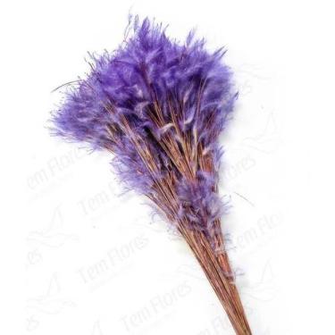 Imagem de Pluminha Roxo Flor Desidratada Buque Flores Secas - Pense Flores