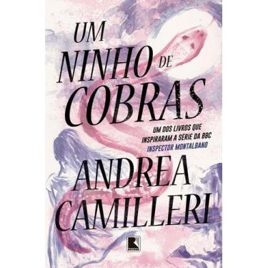 Imagem de Um Ninho de Cobras - RECORD, Sortido