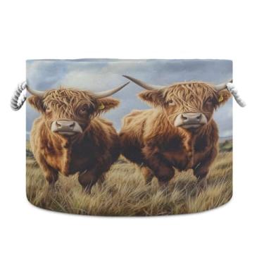 Imagem de JUZIHAI Cesta de armazenamento dobrável Highland Cows, cesto de roupa suja para bebê, cobertor com alças de corda de algodão, caixa organizadora de armário dobrável para quarto, berçário, casa, 50 x