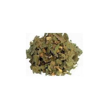 Imagem de Chá de Guacatonga (Casearia sylvestris) 100g - Planta Seca para Infusã