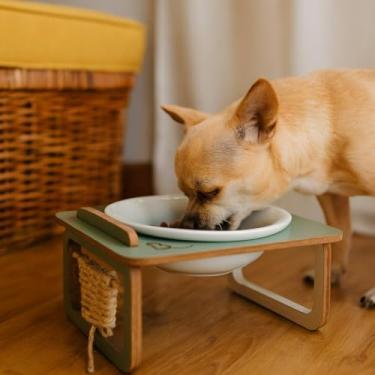 Imagem de Comedouro Elevado para PET Cães de Mini e Pequeno Porte Unitário - MDF e Porcelana - Cor Verde