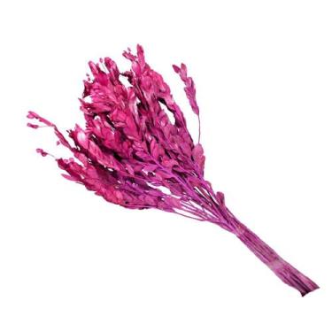 Imagem de Alecrin Rosa Desidratado - Oficina do Florista