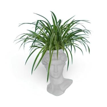 Imagem de Cachepot Escultura de Davi Michelangelo, Branco, Polietileno, 32x25x22cm, Moderno, Vaso Decorativo