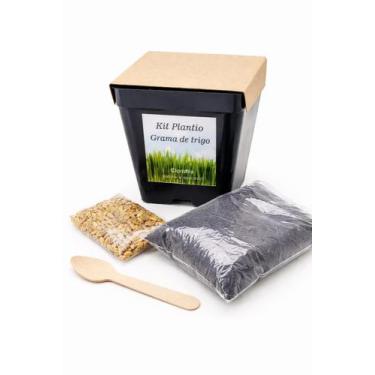 Imagem de kit plantio clorofila grama de trigo - Horta e Jardim
