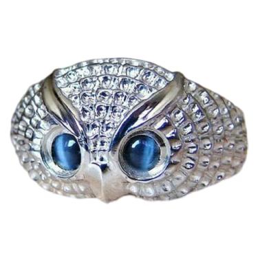 Imagem de HUKQBUNX Anel de prata esterlina 925 masculino de aço inoxidável criativo azul coruja olho coruja anel vintage Halloween natal tamanho 6-10 (tamanho 9)