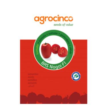 Imagem de Sementes Tomate Hibrido Brs Nagai F1 Agrocingo Embrap (100 sementes)