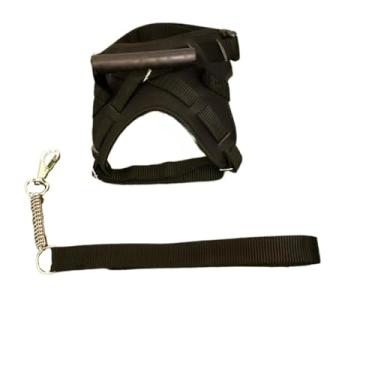 Imagem de Coleira peitoral para cachorro reforçada com nome na guia cachorro de pequeno mdio e grande porte para passeios com mola(PRETO,G)