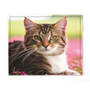 Imagem de Manta, Cobertor Fleece Estampado Para Pet, Gato Mod 3 - fantasia bras