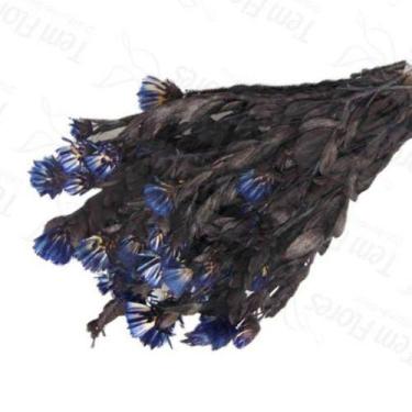 Imagem de Arapurama Desidratado Buque Flores Secas - Pense Flores, Azul