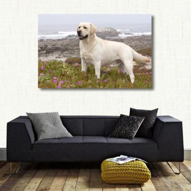 Imagem de Quadro decorativo Cachorro Labrador Paisagem com Tela de Tec