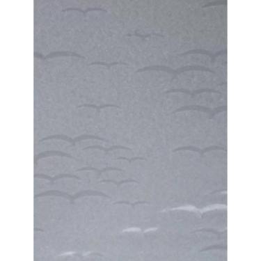 Imagem de Chapa De Acrílico Para Box E Gabinetes 90X98 Revoada Incolor