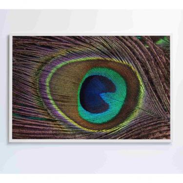 Imagem de Quadro Penas De Pavão 120x80 Cm Vidro Impresso