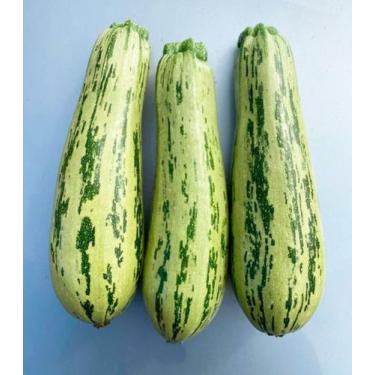 Imagem de Abobrinha Morgana F1 - 1,1gr / 15 Sementes - Linha Híbrida - Feltrin