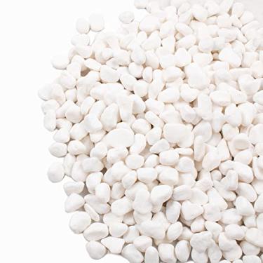 Imagem de CJGQ Seixos Brancos Para Plantas Vasos De Jardim 1,8 Lb Pedras Brancas Pedra Decorativa De Cascalho 1/2"