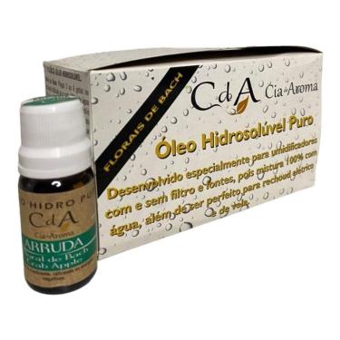 Imagem de Kit Box 10 Óleos Hidrossolúvel 10Ml - Escolha O Seu Aroma