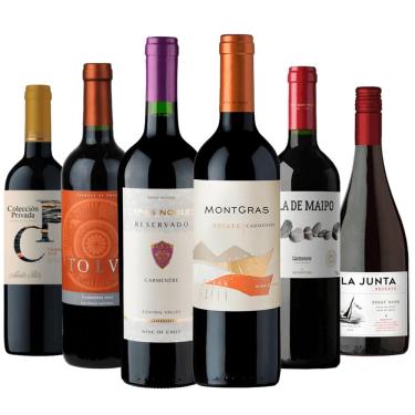 Imagem de Kit 6 Vinhos Tintos Chilenos
