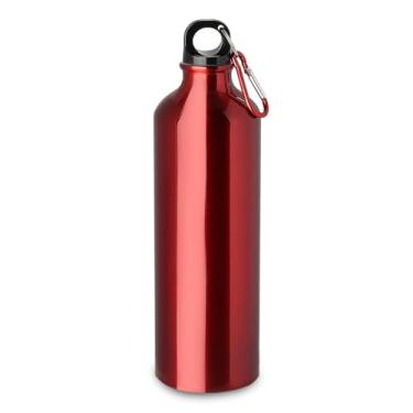 Imagem de Garrafa Squeeze de Alumínio 750ml Metálica | Tampa Rosqueável com Mosquetão Colorido | Ultra Leve 100g | Perfeita para Esportes, Viagem e Camping (Vermelho)