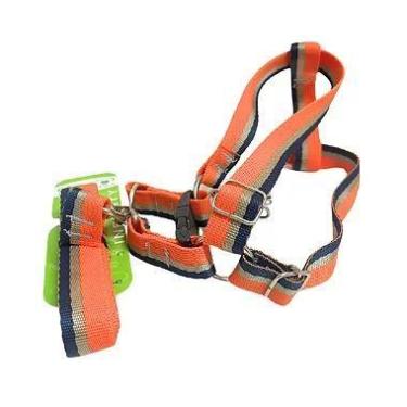 Imagem de Conjunto Peitoral Regulável Listrado com Guia para Cachorro - Ideal pa