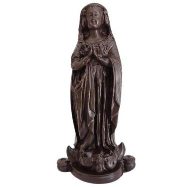 Imagem de Imagem de Nossa Senhora de Aparecida Fax 15cm resina - R&S