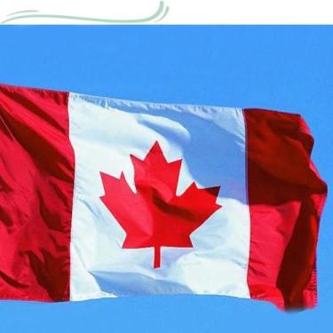 Imagem de Bandeira do Canadá 150x0,90mt - WCAN