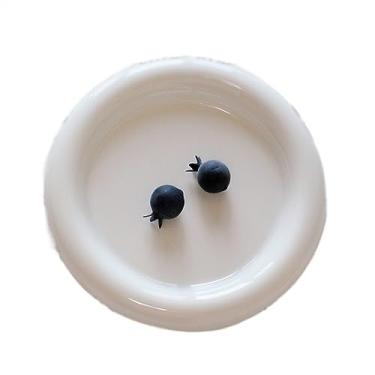 Imagem de ZYHSIJOBAS Tigelas de macarrão, pratos de aperitivo, redondo, fofo, prato de jantar, prato de café da manhã, prato de sobremesa, cozinha, restaurante, café, branco, prato plano, prato fundo, pratos de