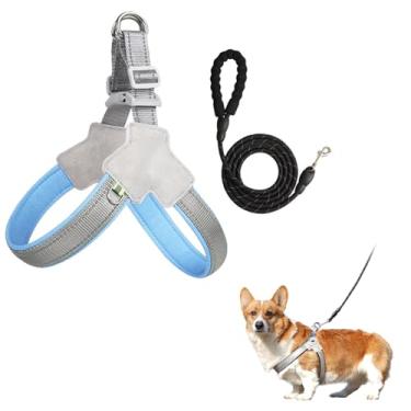 Imagem de Peitoral ajustável com coleira – malha respirável, colete acolchoado macio para cães e gatos pequenos (pequeno + coleira reflexiva preta de 1,8 m)