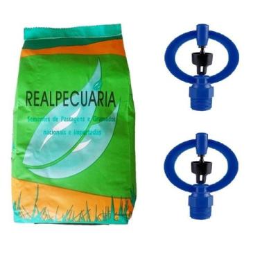 Imagem de 2 kg de sementes de grama batatais mais 2 aspersor p5 - REALPECUARIA