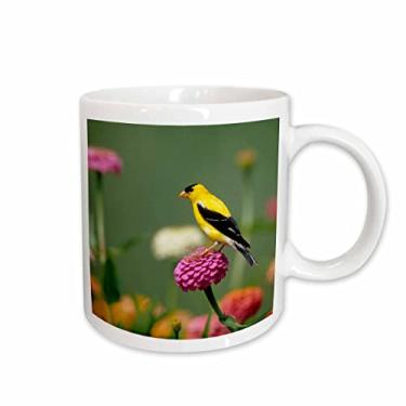 Imagem de 3dRose mug_250820_2 Caneca, macho em zinnias em jardim, 443 ml, branca