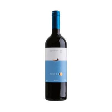 Imagem de Vinho Tinto Cabernet Sauvignon Trofeo 750ml - Vina Del Triunfo