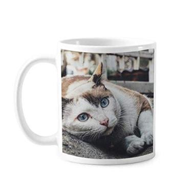 Imagem de Caneca de foto com foto de gato colorida de cerâmica, copo de porcelana de café
