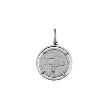 Imagem de Pingente Peixes Signos Com Aro em Ouro Branco 18K K150 - Usa Joias
