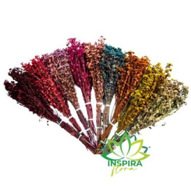 Imagem de Buque Flor Chuvisco Natural Desidratada Buque Flores Secas - Flora Ful