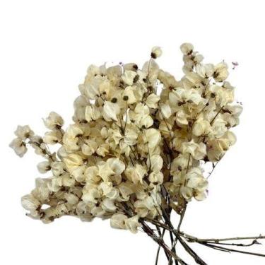 Imagem de Kit de 10 bougainville - Flores Desidratadas - Buquê Arranjo Preço Flo