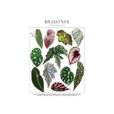 Imagem de Impressão Em Lona HD De Plantas Tropicais, Arte Botânica Clássica Mini