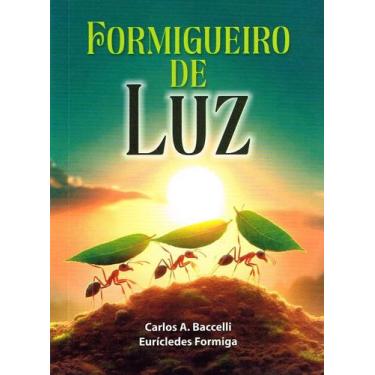 Imagem de Formigueiro de Luz - Reflexões Espirituais - LEEPP