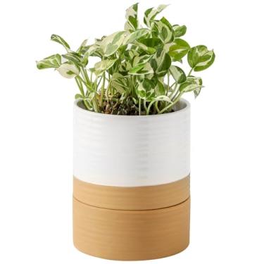 Imagem de HASENSE Vasos de cerâmica, vaso de 15 cm com orifício de drenagem e pires combinando, ideal para suculentas internas, vasos de flores para decoração, suculentas, plantas de cobra, cacto, presente de
