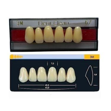 Imagem de Dente Dent Clean Anterior 3M Superior - Imodonto