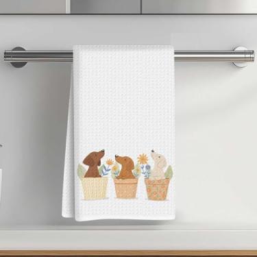 Imagem de Toalhas de cozinha com estampa de dachshund fofas 35 x 61 cm, toalha de prato decorativa de microfibra absorvente, toalhas de mão de waffle para cozinha, casa, banheiro, presentes para amantes de cães