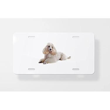 Imagem de Poodle 4 Capa para placa de carro – Capa para placa de carro – Capa para placa de carro 15 x 30 cm