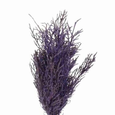 Imagem de Pé de Sapo Roxo Desidratado p/ Decoração - Pense Flores