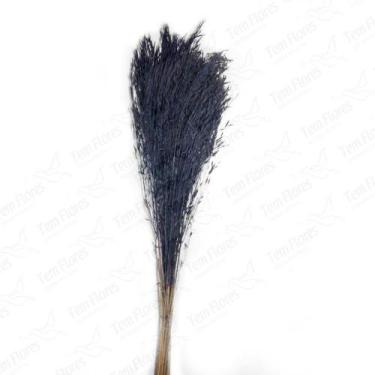 Imagem de Capim Chorão André Quicé (Galho) Azul Vitória Desidratado - Tem Flores