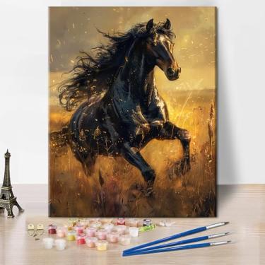 Imagem de TUMOVO Kit de pintura por números para adultos cavalo preto correndo no campo do pôr do sol, 40,6 x 50,8 cm, pintura adulta por número em tela com pincéis e tintas acrílicas para decoração de casa