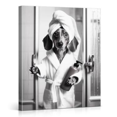 Imagem de Dachshund engraçado em roupão de banho impressão de arte de parede de cachorro preto e branco imagem engraçada animal banheiro decoração de parede 20x25 tela emoldurada