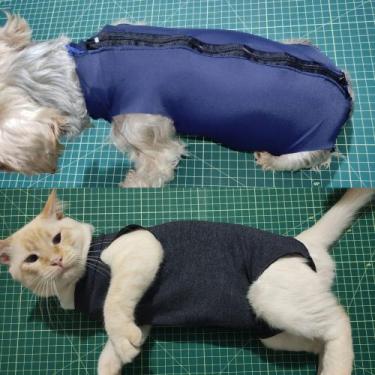 Imagem de Roupa cirúrgica Pet cachorro(a) e gata - conforto e segurança - Loja R